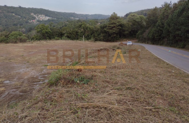 Terreno comprar em Flores da Cunha